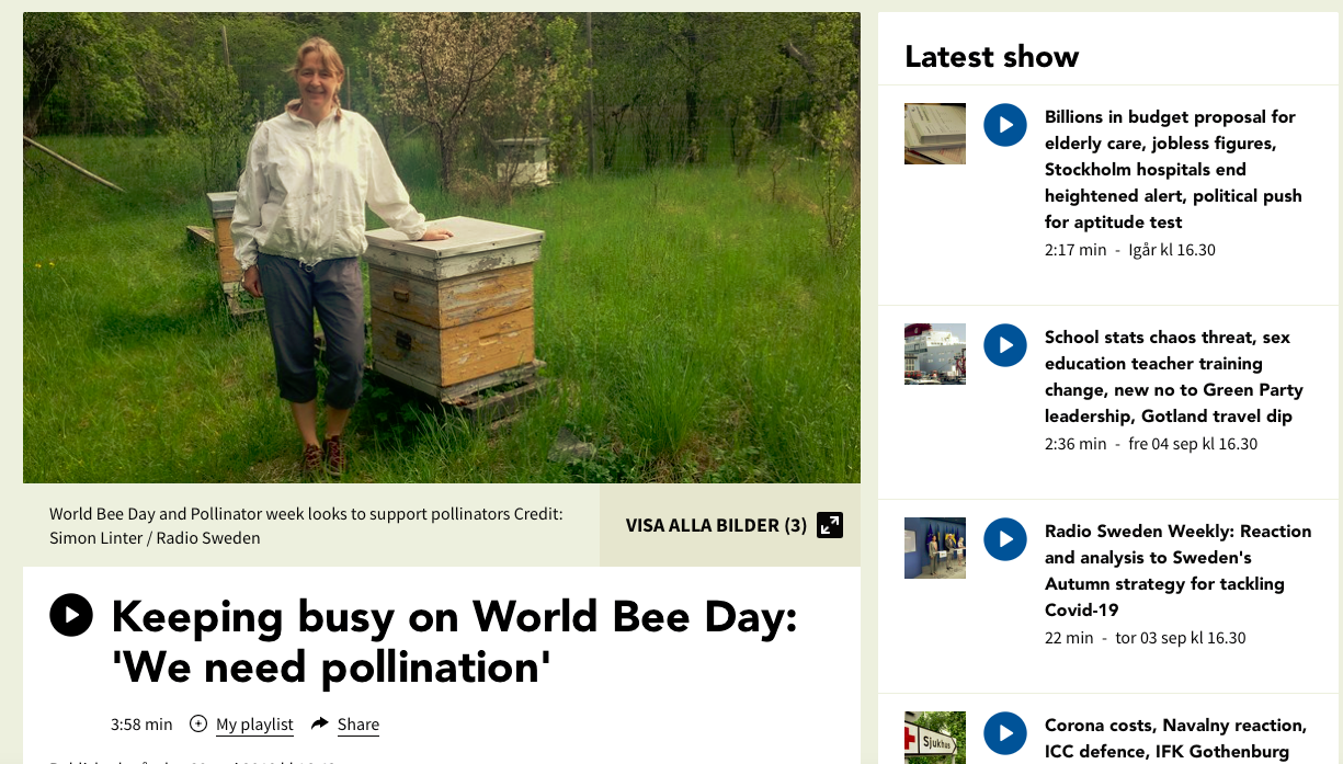 Screen Shot 2020-09-08 at 09.28.31